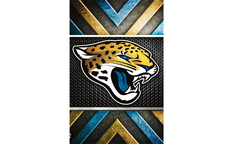 HAMILTON JAGUARS FOOTBALL and CHEER