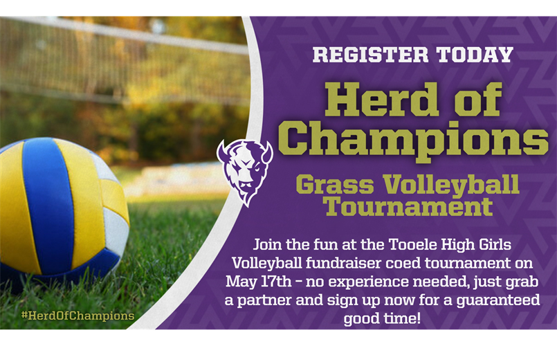 Herd of Champions Grass Volleyball Tournament