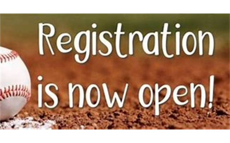 Click the above image to register for spring ball 2025!