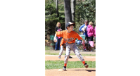 TBall/Farm Baseball/Farm Softball/Single A
