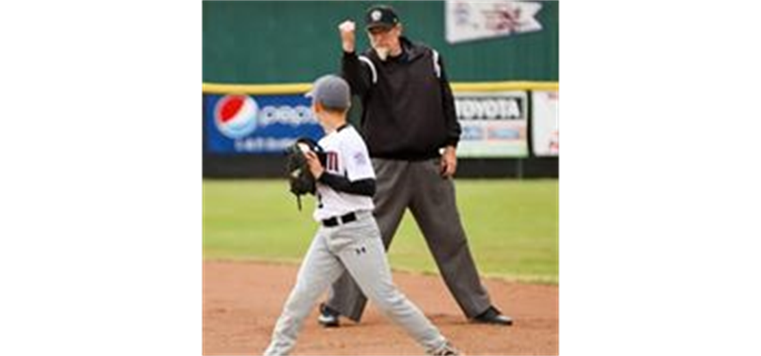 District 3 Umpire Mechanics Clinic FEB 15 & 16, 2025