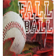 2025 Fall Baseball Registration Now Open!