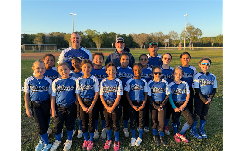 Spring 2026 - 10U Falcons