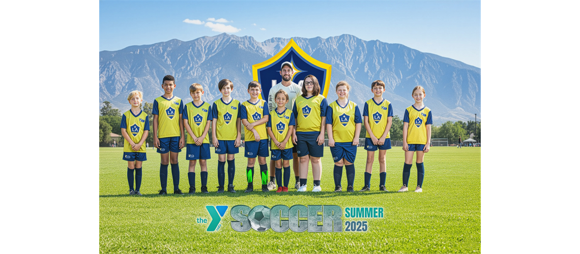 MLS GO