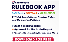 Little League Rulebook