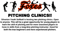 SOFTBALL PITCHING CLINICS