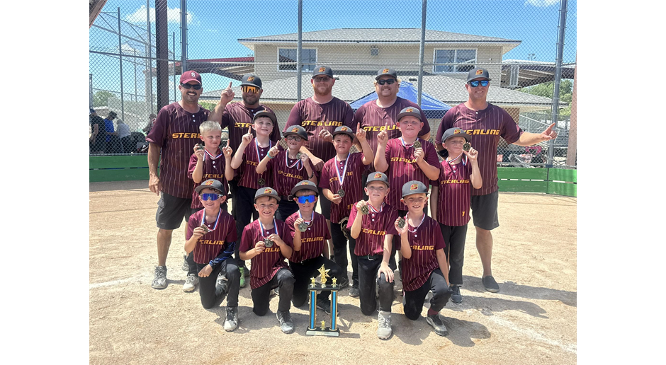 8U Baseball Champs!