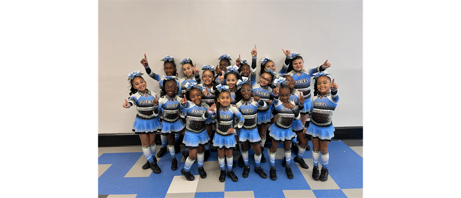 Lady Panthers