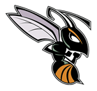 /portals/84729/logo638826454706171451.png