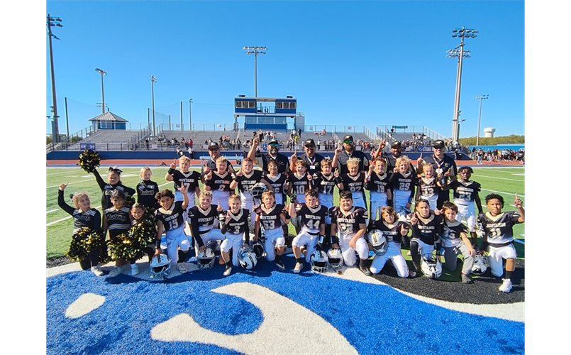 American League Champs