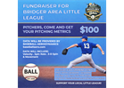 Pitch Metrics Fundraiser