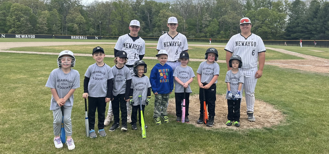 Strikeout Cancer 2025 Baseball