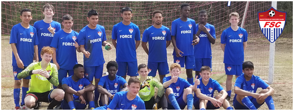 01 FSC Force Clinch Division