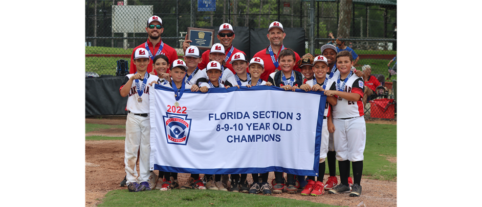 10U Baseball All Stars 2022 - District and Section Champions