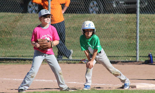 Recreational Baseball and Softball Leagues