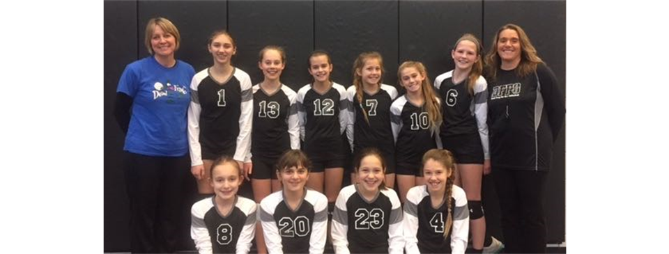 Spring Season Information