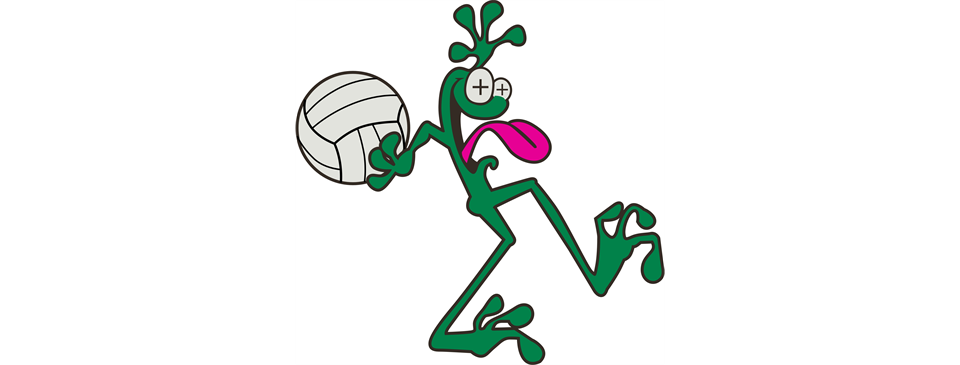 2016 Spring Team Placements