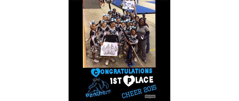 2015 Combined Pee Wee/Jr. Midget Cheer Team
