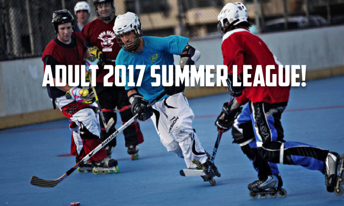 Sign Up for the 2017 SUMMER Adult League