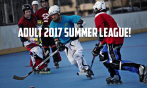 Sign Up for the 2017 SUMMER Adult League
