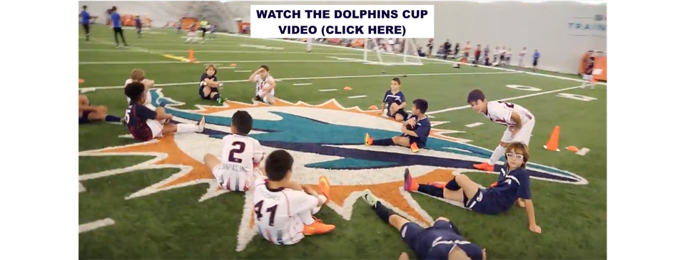 DOLPHINS CUP 5 VS 5 VIDEO