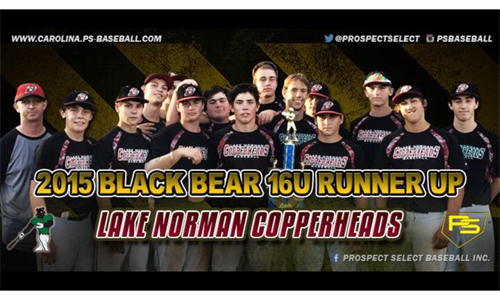Black Bear